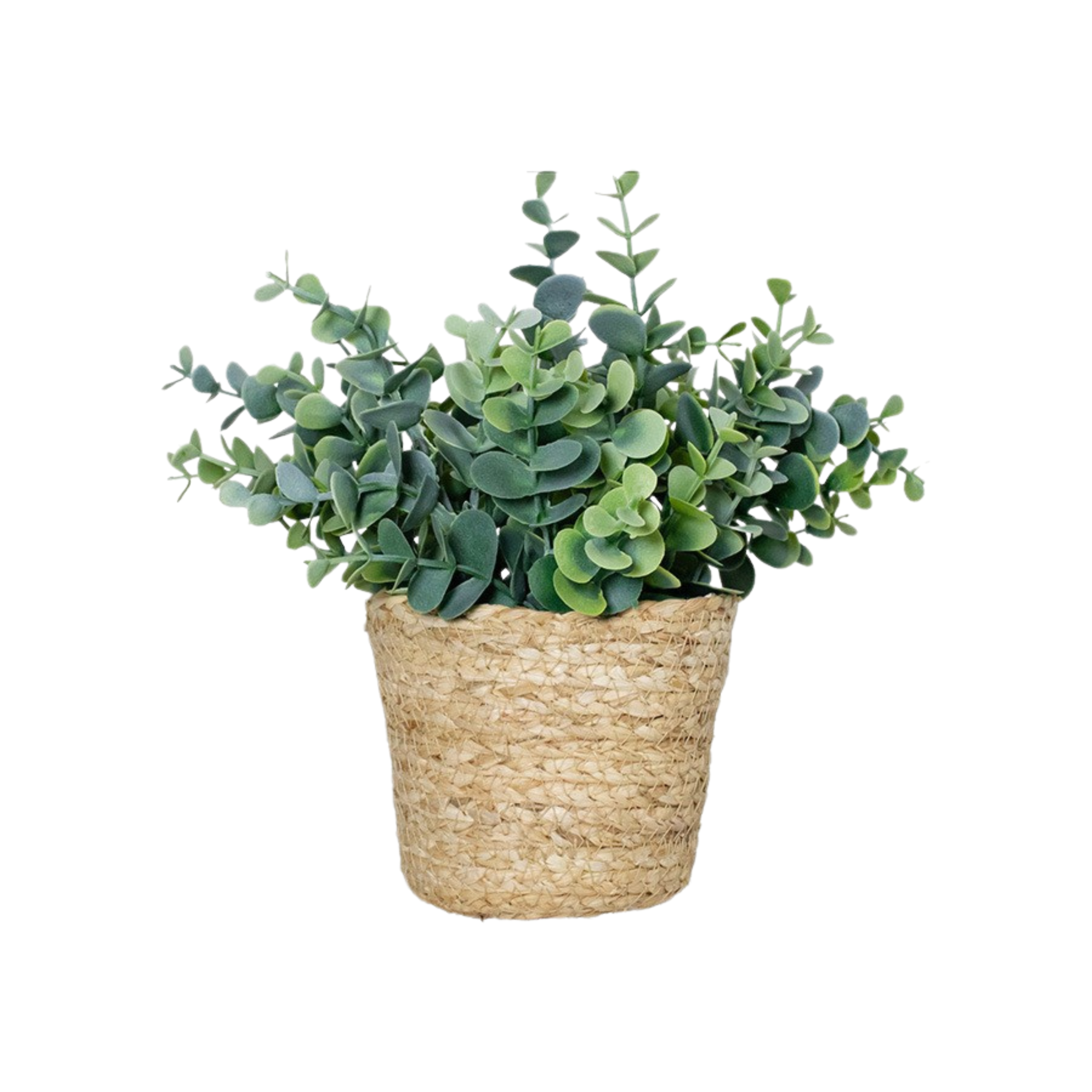Artificial Eucalyptus Plant with Pot