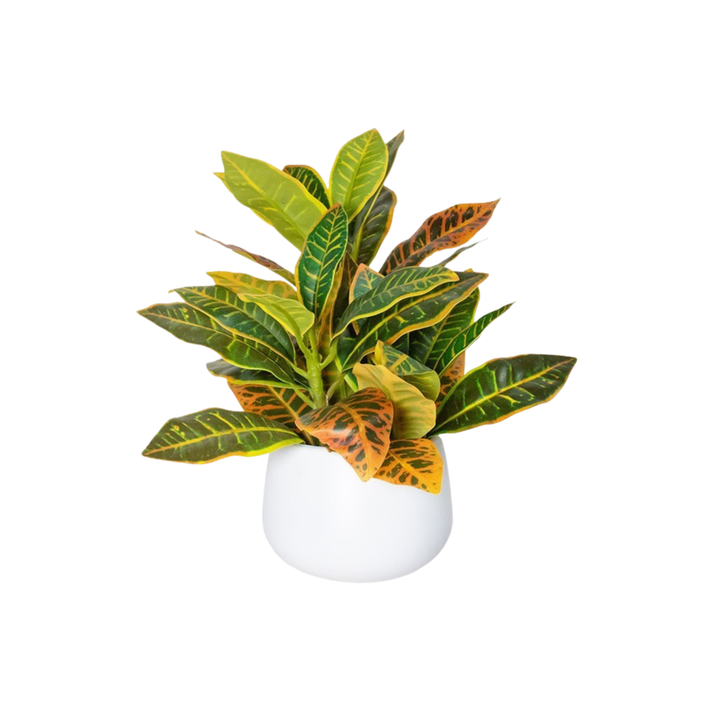 Artificial Eucalyptus Plant with Pot