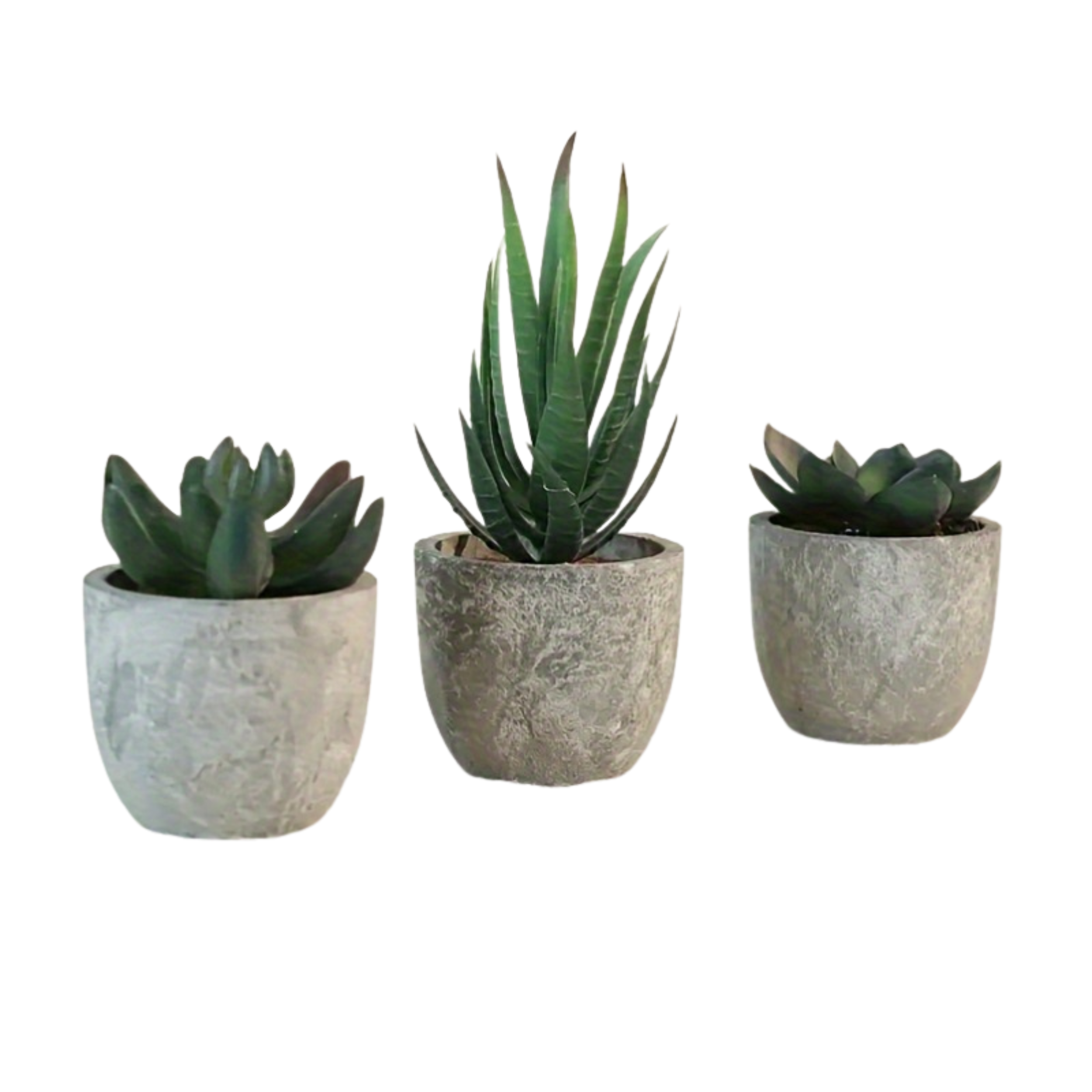 Artificial Succulent Plant Set Decor