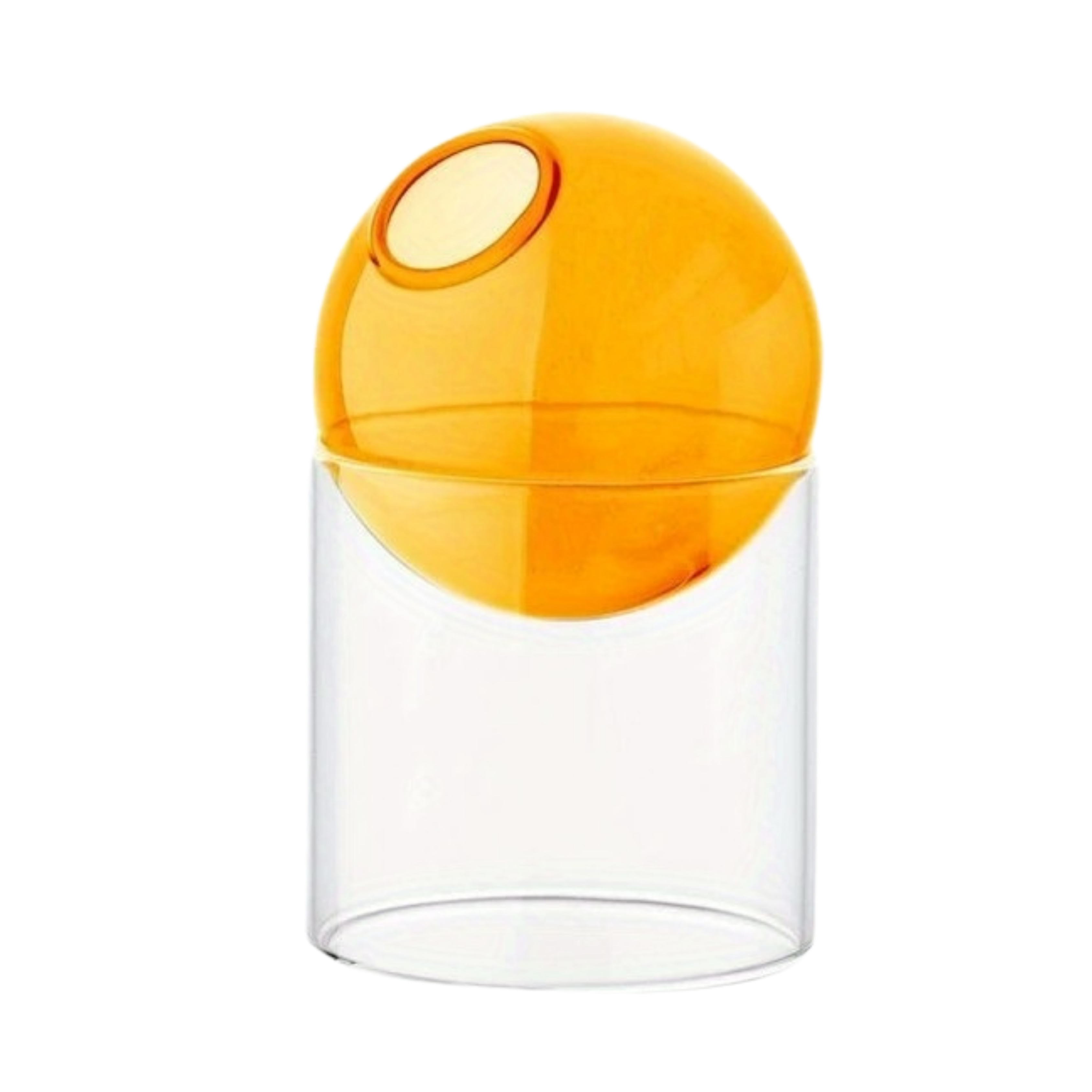 Scandinavian Glass Vase Hydroponic Decor