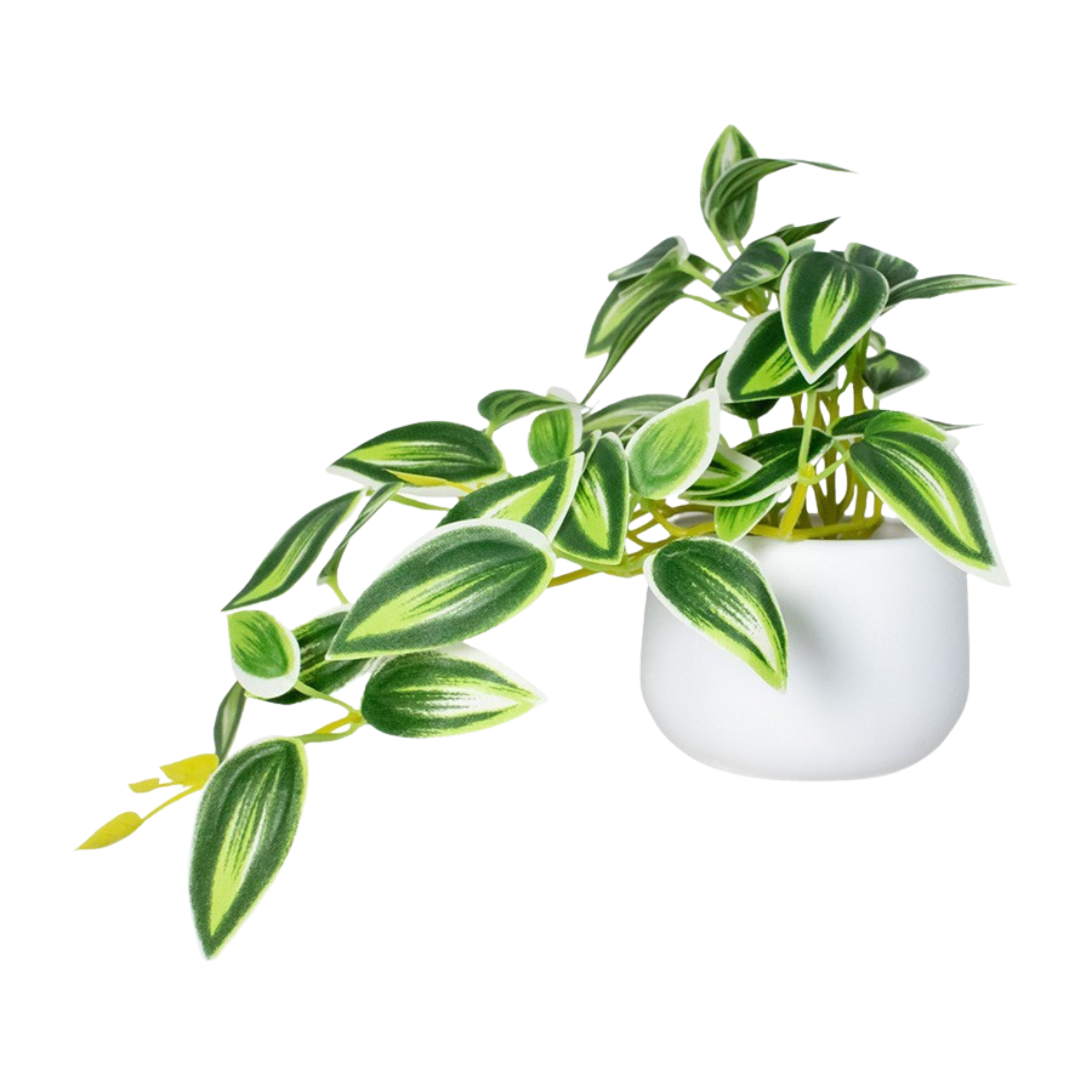 Artificial Eucalyptus Plant with Pot