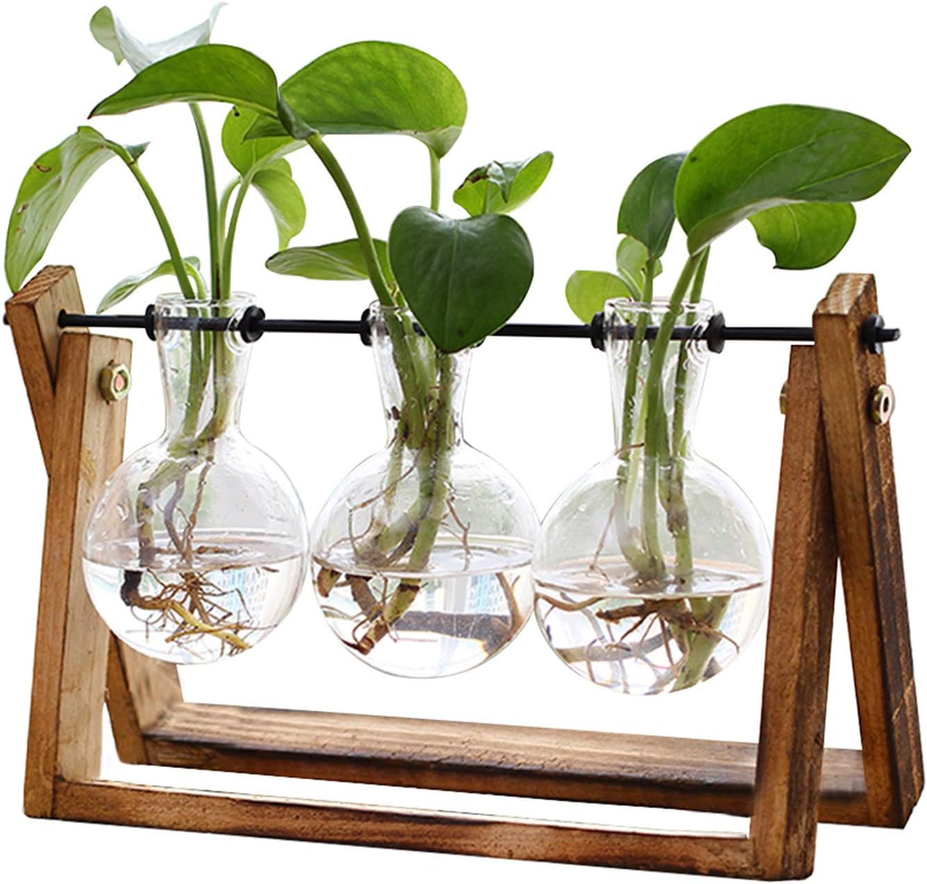 Glass Plant Terrarium Vase