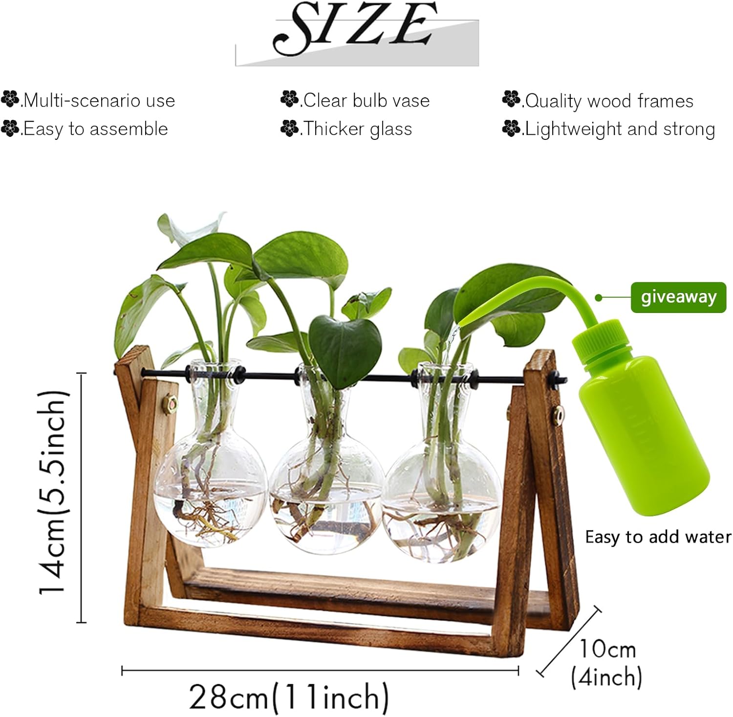 Glass Plant Terrarium Vase