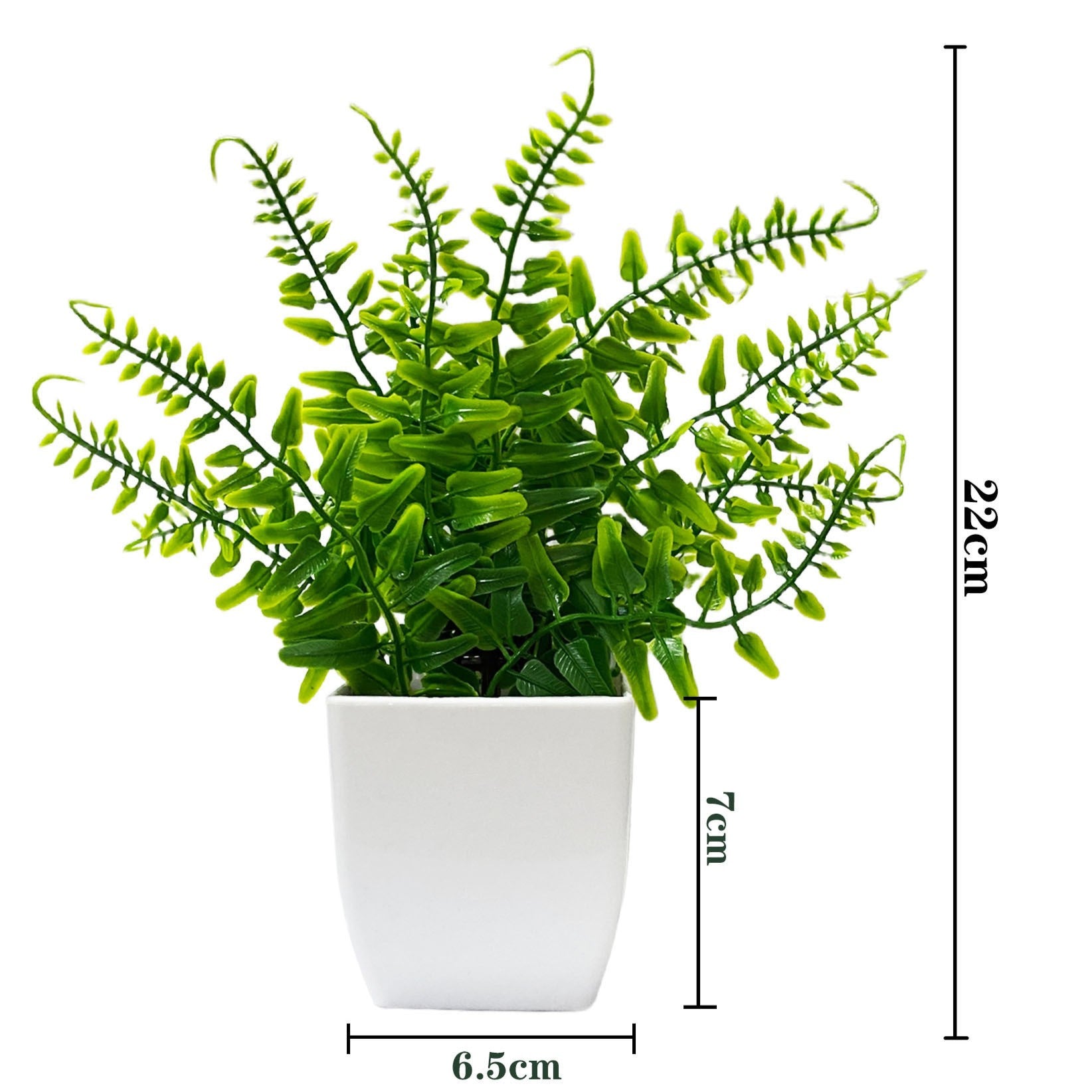 Potted Plant Decor