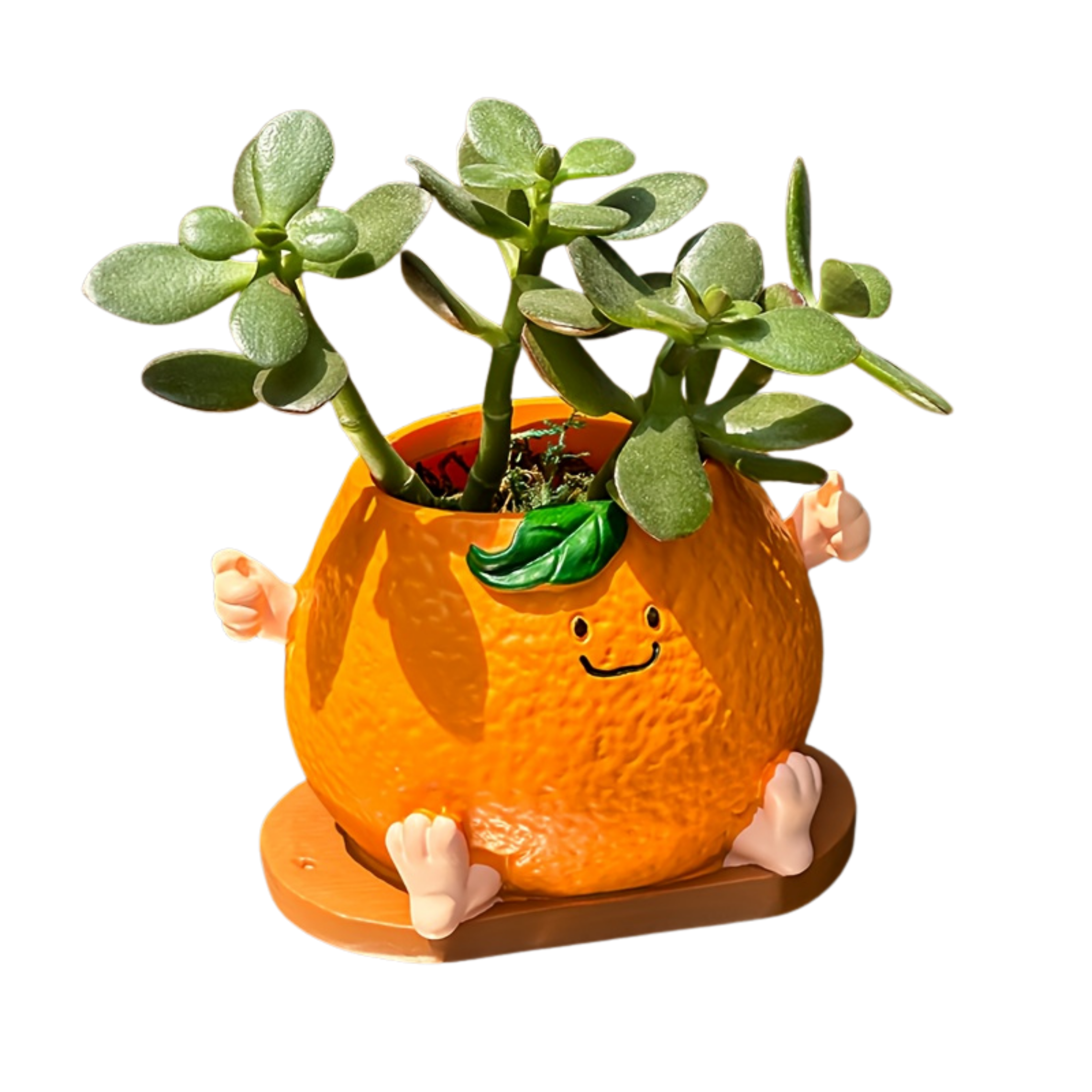 Smiley Face Resin Planter Pot