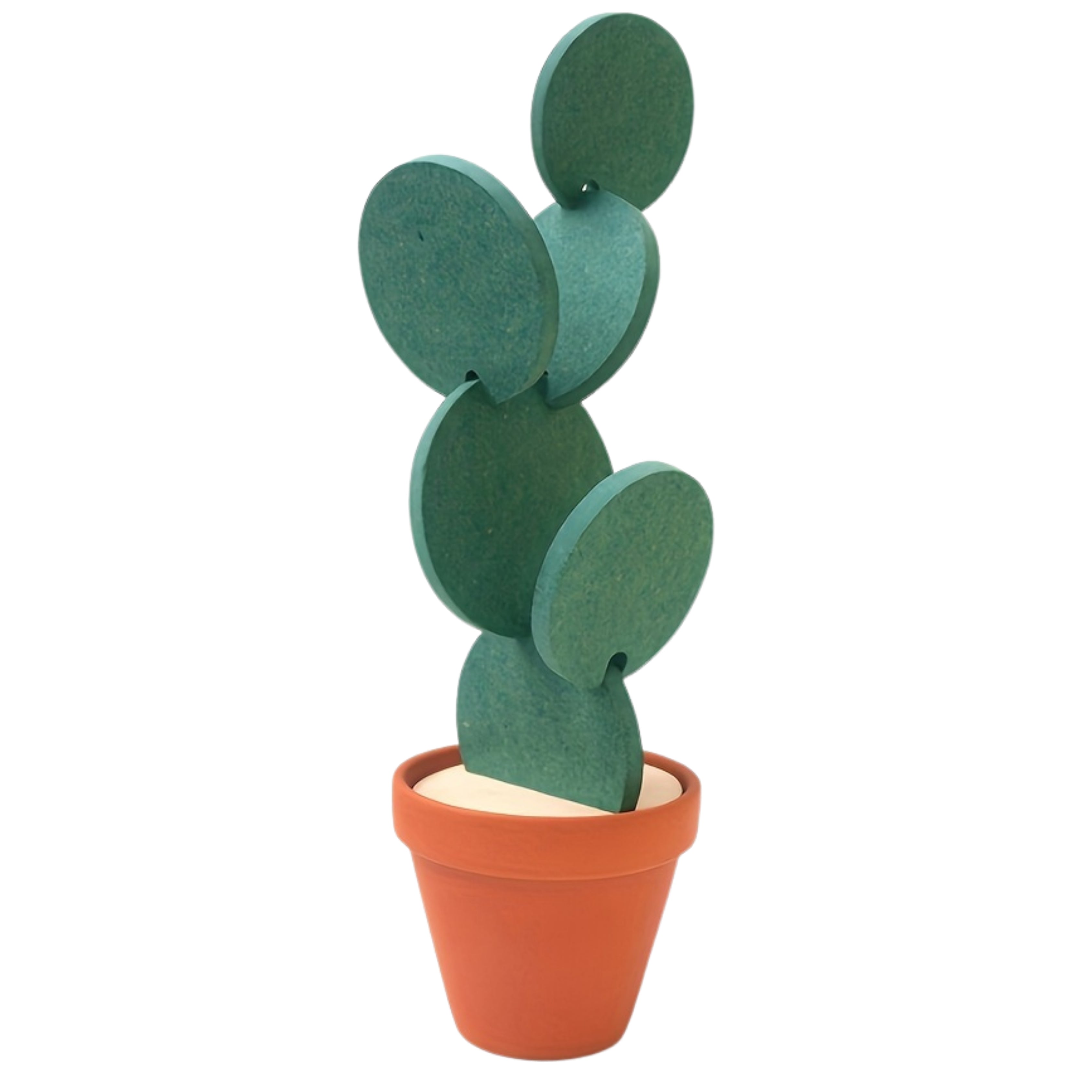 Cactus Coaster Set With Pot Holder
