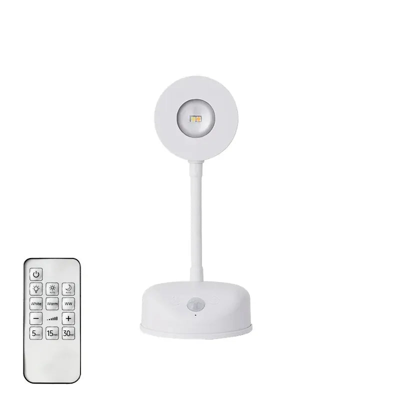 Motion Sensor LED Wall Light