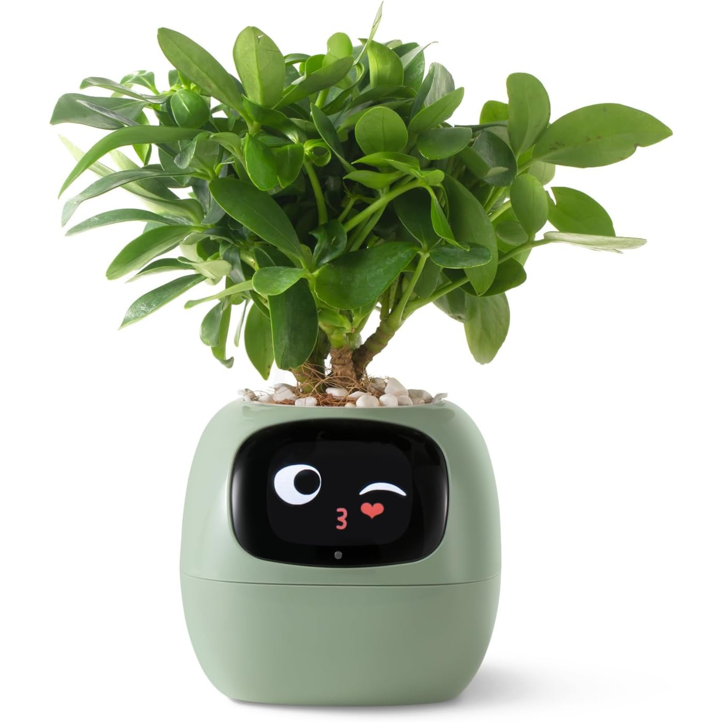 Smart Pet Planter Robot